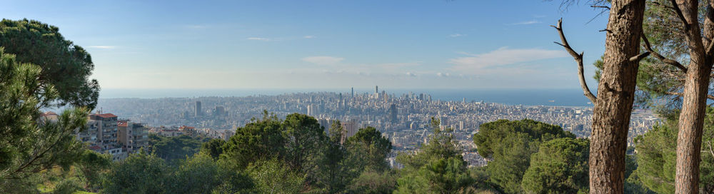 Panoramic view of trees and buildings against sky