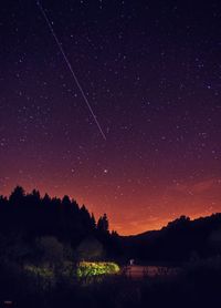 Scenic view of silhouette trees on field against star field at night