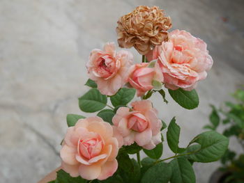 Close-up of rose bouquet