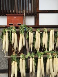 Close-up of vegetables in row