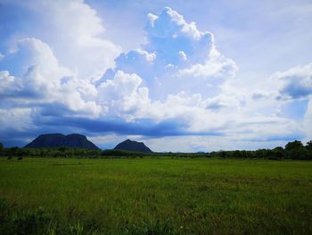 Scenic view of field against sky