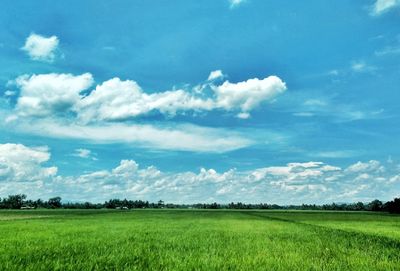 Scenic view of field against cloudy sky