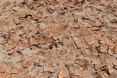 Full frame shot of cracked land