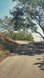 Close-up of beach against sky