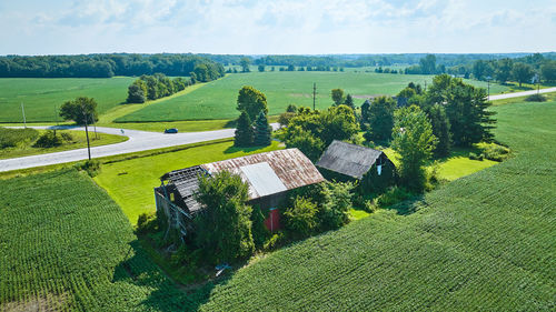 Scenic view of agricultural field