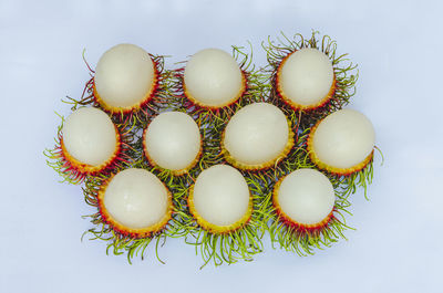 High angle view of candies against white background