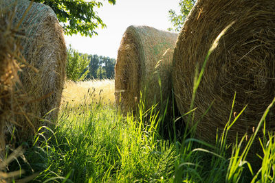 Hay bales on field against sky