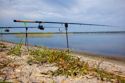 Two fishing rods on a stand with electronic bite alarm on the shore. fishing bite alarm.