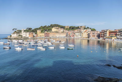 Panoramic aerial view of sestri levante and the gulf of tigullio from the path to punta manara