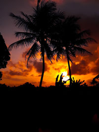 Silhouette palm trees against orange sky