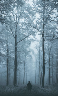 Silhouette man amidst trees in forest against sky