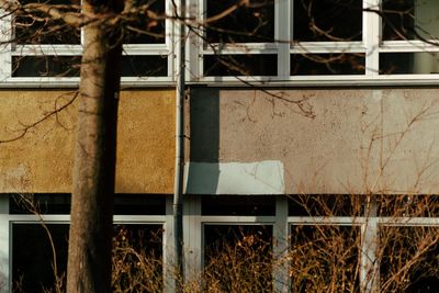 Abandoned building seen through metal fence