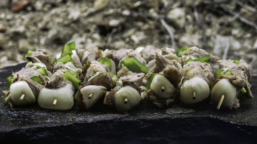 Close-up of vegetables