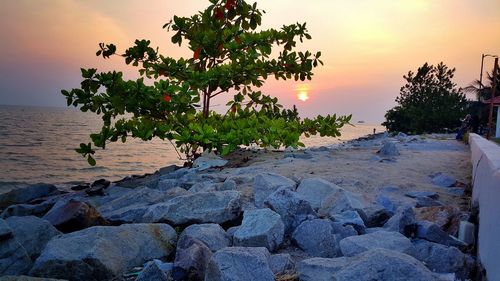 Scenic view of landscape against sky at sunset