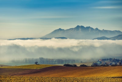 Scenic view of agricultural field against sky