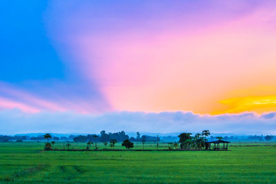 Scenic view of farm against sky during sunset