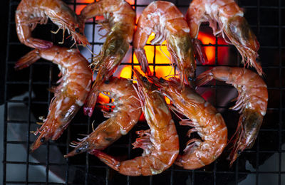 Close up shrimp on the grill