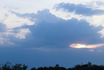 Low angle view of trees against sky during sunset