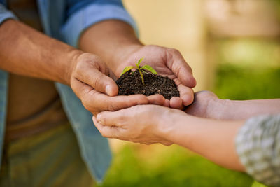 Midsection of man holding plant