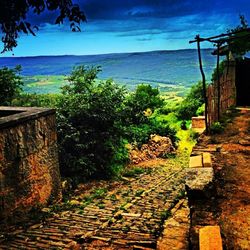 Footpath leading towards sea