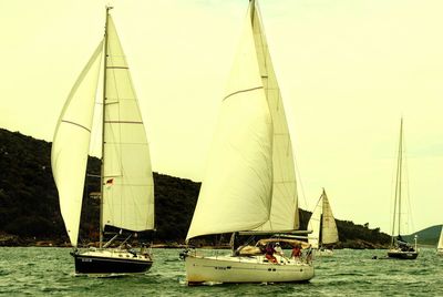 Sailboats sailing on sea against sky