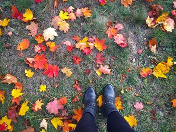 Low section of woman standing amidst fallen autumn leaves on field