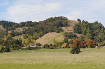 Scenic view of trees on field against sky