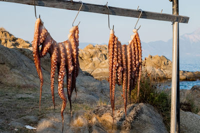 Close-up of clothes drying against the sky