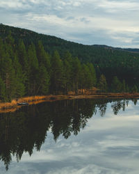 Reflection of trees in lake against sky
