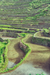 High angle view of agricultural field