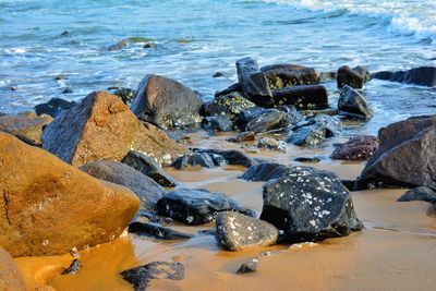 Scenic view of sea shore