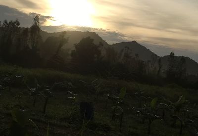 Scenic view of field against sky during sunset