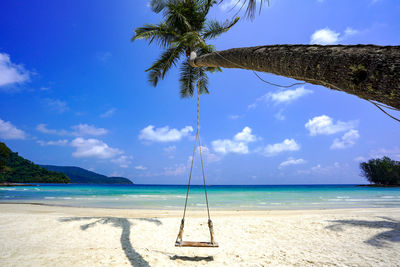Swing hanging at beach against sky