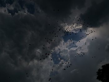 Low angle view of silhouette birds flying against sky