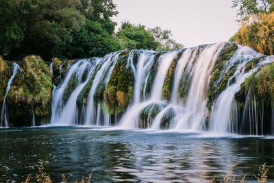 Scenic view of waterfall in forest