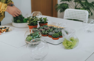 Plants on table