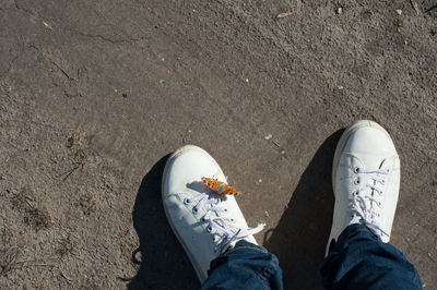 Low section of man standing on road