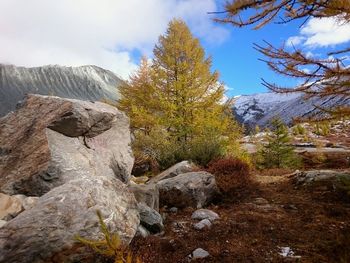 Scenic view of tree mountain against sky