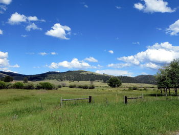 Scenic view of grassy field against cloudy sky