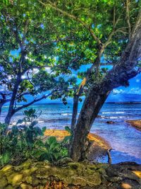 Trees growing at lakeshore