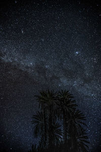 Low angle view of silhouette trees against sky at night