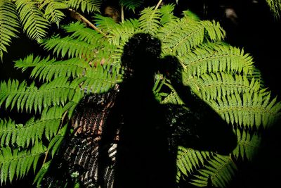 Close-up of woman in pond