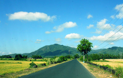 Road amidst plants and trees against sky