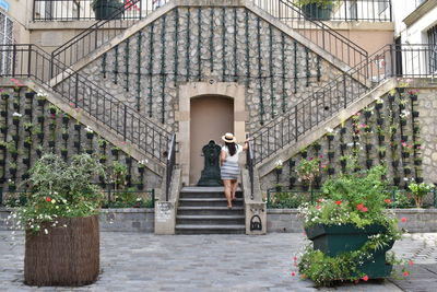 Rear view of people on potted plants
