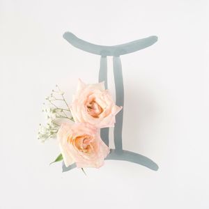 Close-up of roses on astrology sign over white background