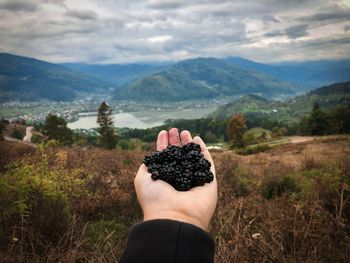 Hand holding blackberries against landscape of mountains