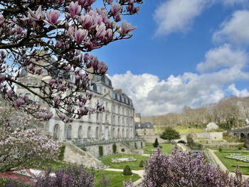 View of pink flowering plants against cloudy sky