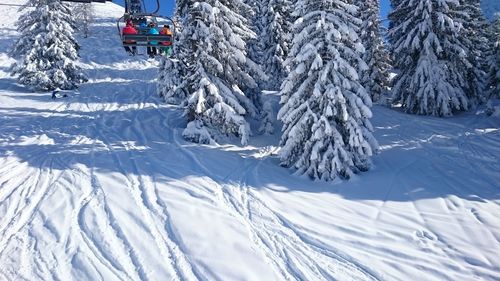 Snow covered trees on field during winter