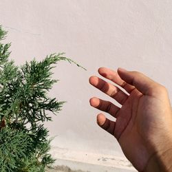 Cropped hand of man gesturing against plant outdoors