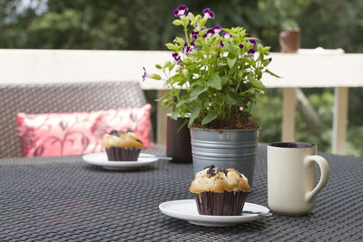 Close-up of potted plant on table